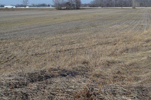 Property photo 36 - East Allen County - 55 Acre Land Auction